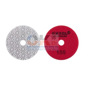 Gyémánt csiszoló és polirozó D100 mm, # 100 (e8803092)