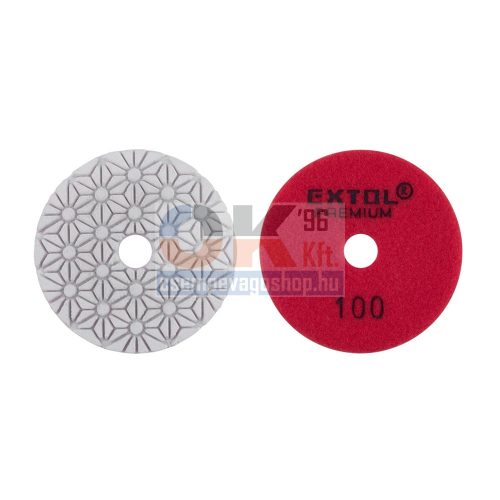 Gyémánt csiszoló és polirozó D100 mm, # 100 (e8803092)