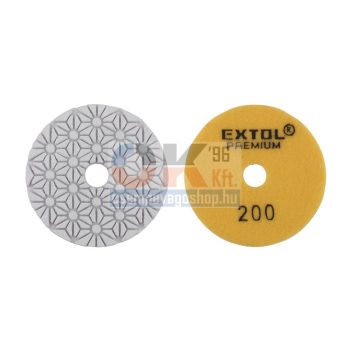 Gyémánt csiszoló és polirozó D100 mm, # 200 (e8803094)